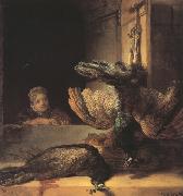 REMBRANDT Harmenszoon van Rijn Still life with two dead Peacocks and a Girl (mk33) oil painting artist